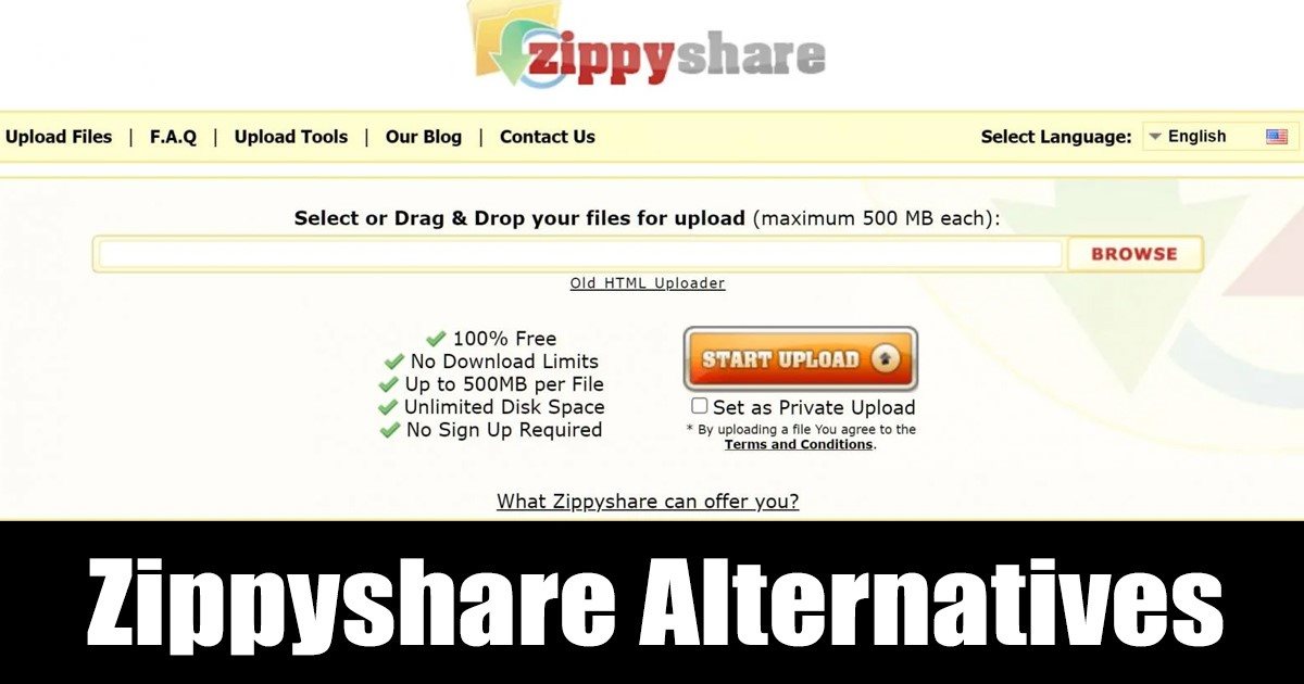 Best File Hosting & Sharing Sites